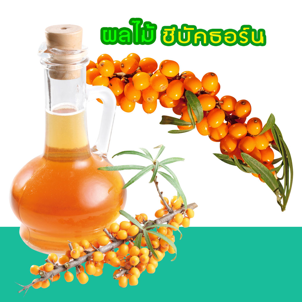 ซีบัคธอร์น